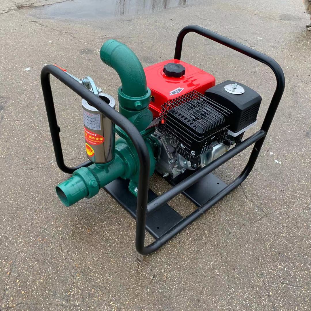 Diesel Water Pump - Bomba de Água a Diesel Portátil